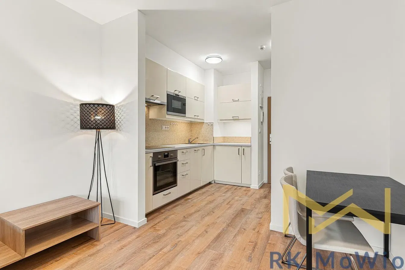 Kitchen; kitchen appliances, wood floor, natural light, modern style