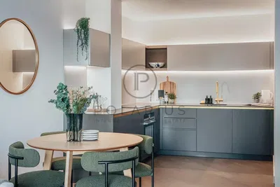 Küche; moderner stil, renoviert, tageslicht