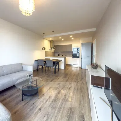 Хол; кухненски уреди, естествена светлина, модерен стил, дървен под