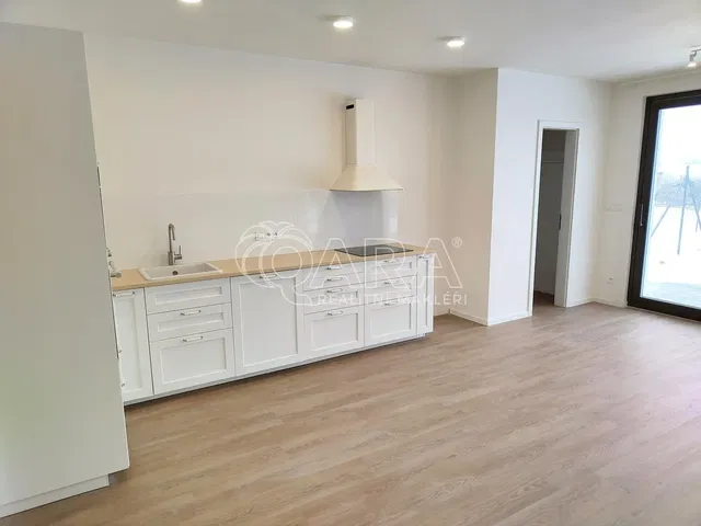 Kitchen; kitchen appliances, natural light, modern style, renovated