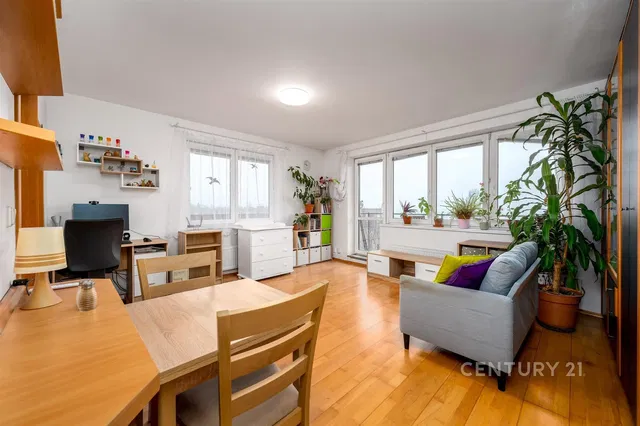 Хол; естествена светлина, дървен под