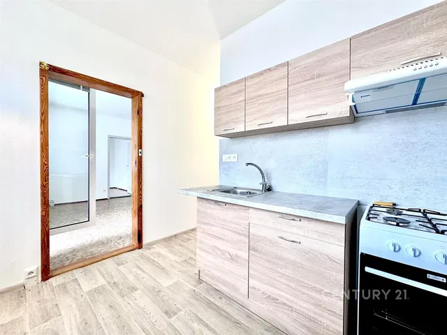 Kitchen; kitchen appliances, renovated, natural light, modern style