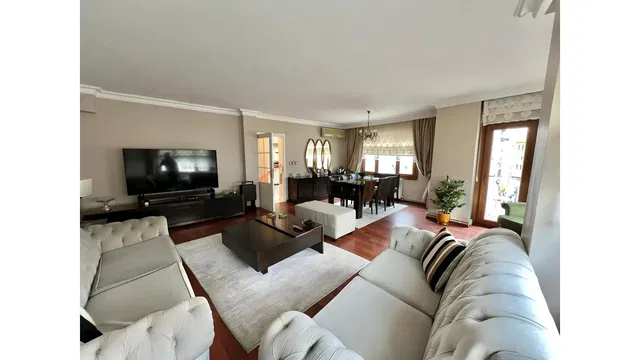 Wohnzimmer; tageslicht, moderner stil