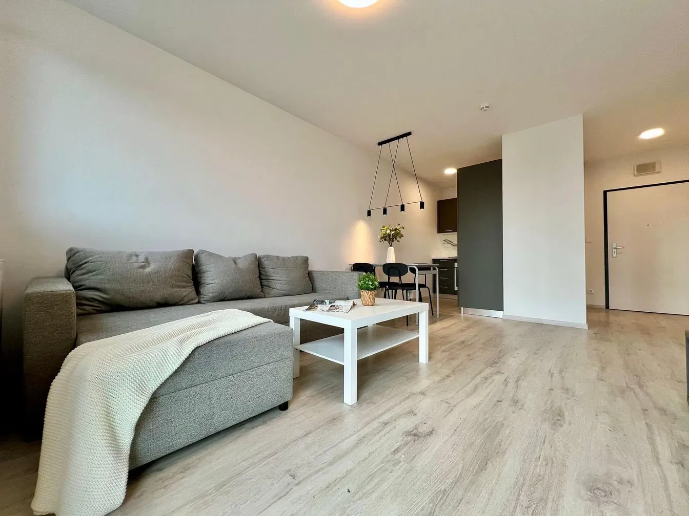 Dnevna soba; prirodno svjetlo, moderni stil