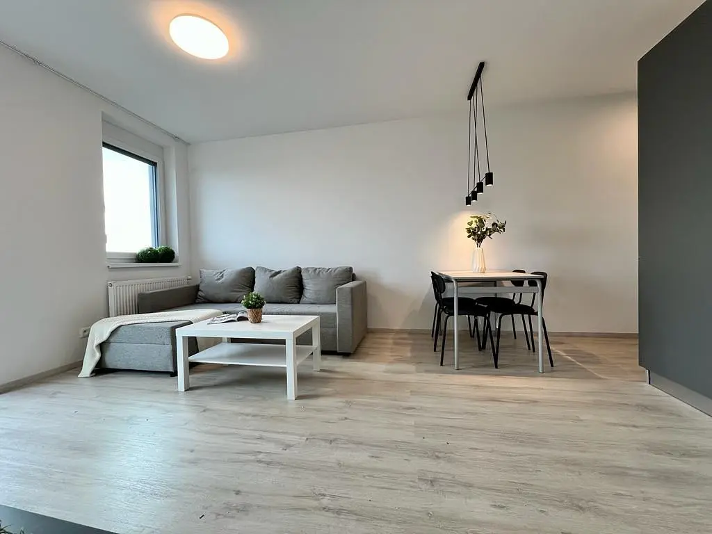 Dnevna soba; prirodno svjetlo, moderni stil, drveni pod