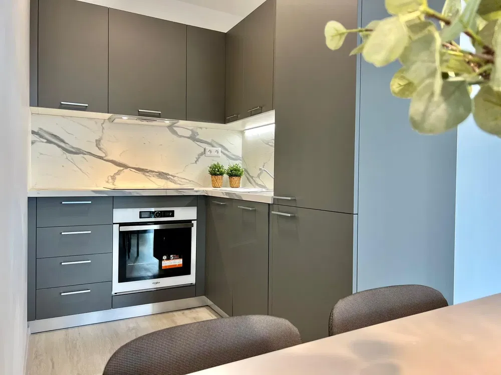 Kuhinja; kuhinjski aparati, renoviran, prirodno svjetlo, moderni stil