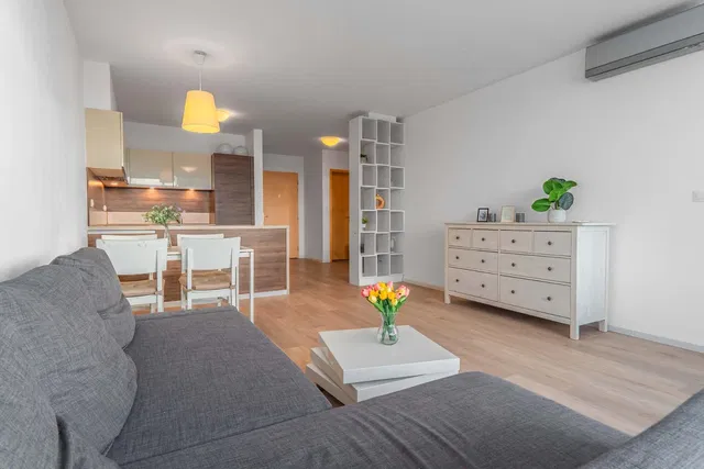 Salon; lumière naturelle, style moderne