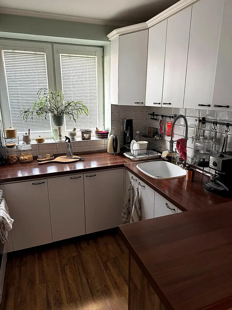 Keuken; keukenapparatuur, natuurlijk licht, moderne stijl
