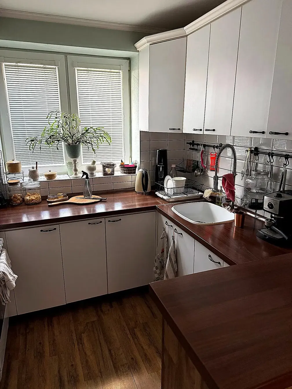Keuken; keukenapparatuur, natuurlijk licht, moderne stijl