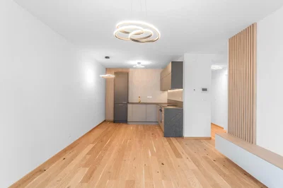 Kuhinja; drveni pod, prirodno svjetlo, moderni stil, kuhinjski aparati