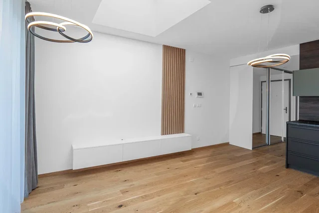 Salon; parquet, lumière naturelle, style moderne