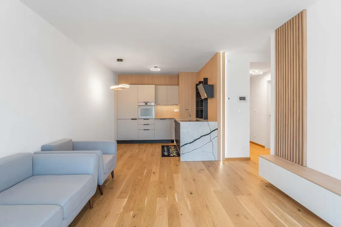 Salon; parquet, lumière naturelle, style moderne