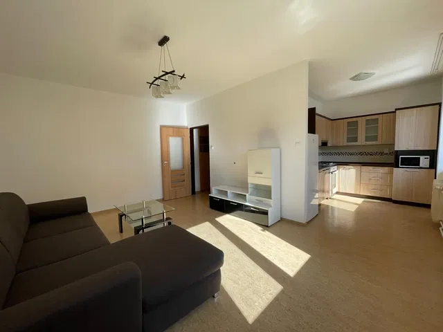 Living room; natural light, modern style