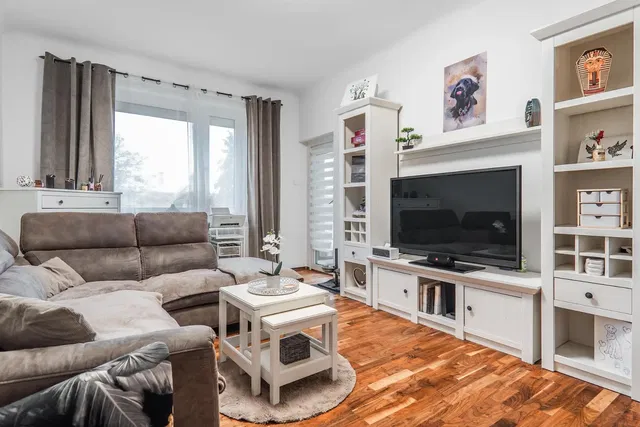 Salon; parquet, lumière naturelle, style moderne