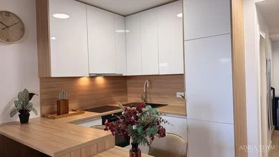 Cuisine; électroménager, lumière naturelle, style moderne