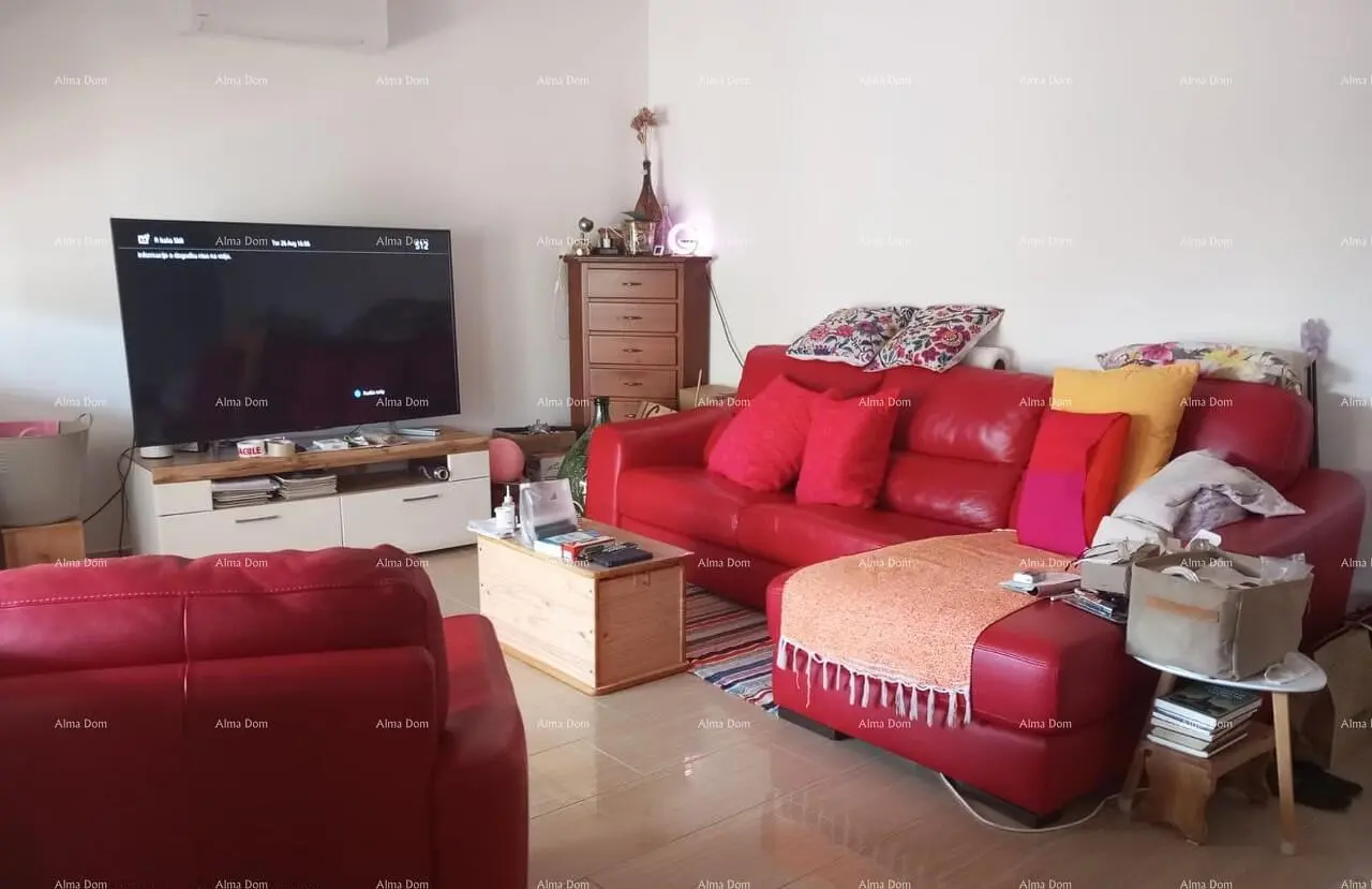 Salon; style moderne, parquet, lumière naturelle