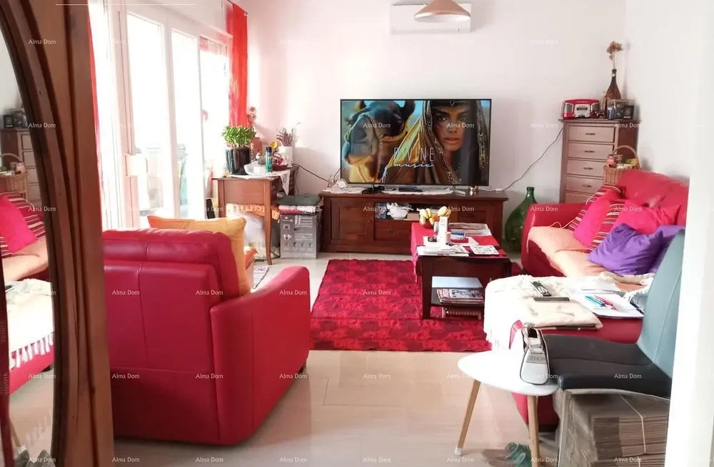 Salon; lumière naturelle, style moderne