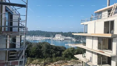 House and surroundings; view