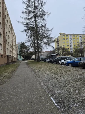 Maison et environs; vue