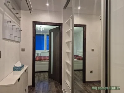 Câmara; luz natural, renovado