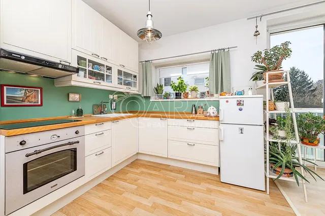 Kuhinja; kućanski aparati, prirodna svjetlost, moderan stil