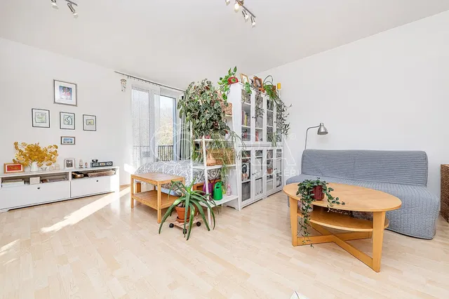 Dnevni boravak; prirodna svjetlost, drveni pod, moderan stil