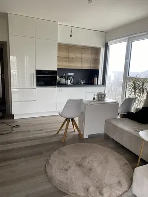 Mutfak; manzara, modern stil, doğal ışık