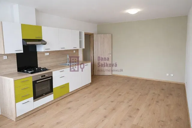 Kuhinja; kuhinjski aparati, renoviran, prirodno svjetlo, moderni stil