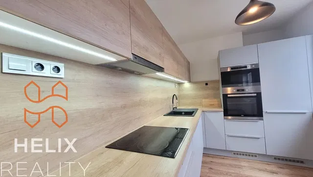 Kuhinja; kuhinjski aparati, renoviran, drveni pod, moderni stil