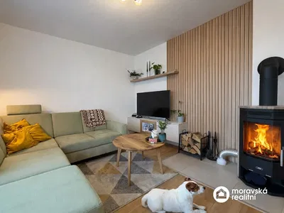 Woonkamer; open haard, natuurlijk licht, moderne stijl
