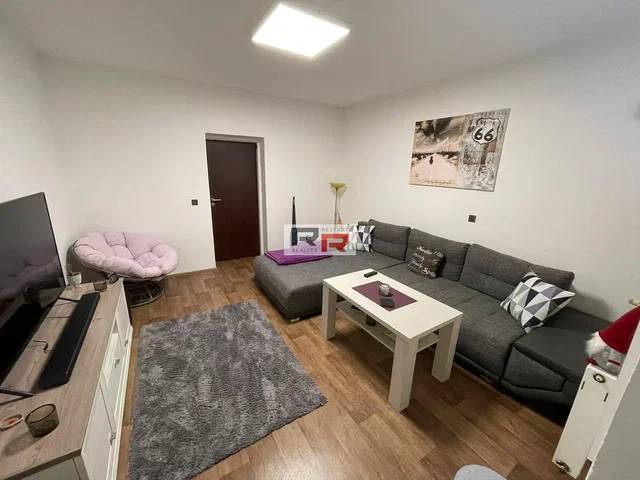 Living room; modern style, wood floor, natural light