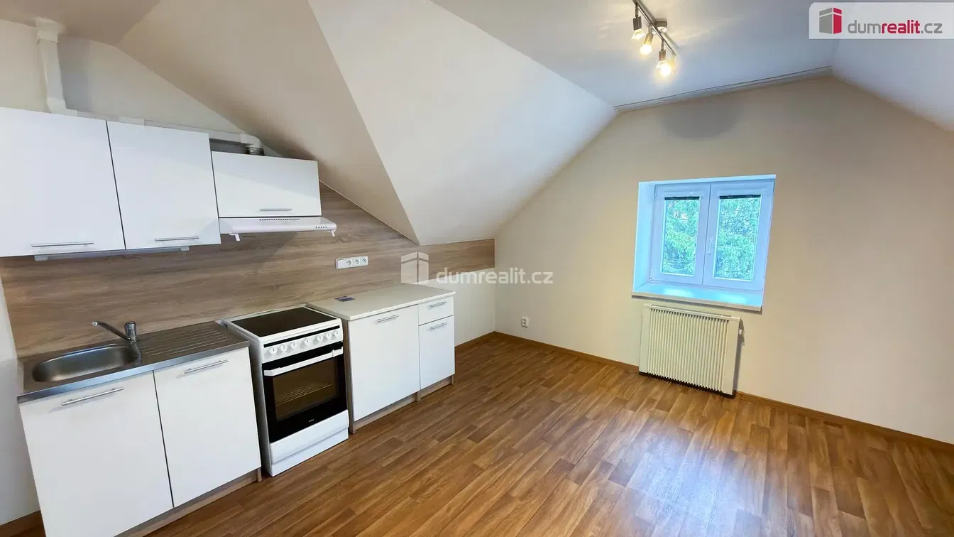 Cucina; elettrodomestici, luce naturale, stile moderno, ristrutturato