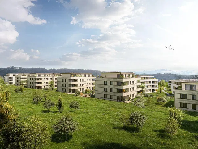 Casa e dintorni; vista