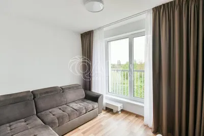 Wohnzimmer; blick, holzboden, tageslicht