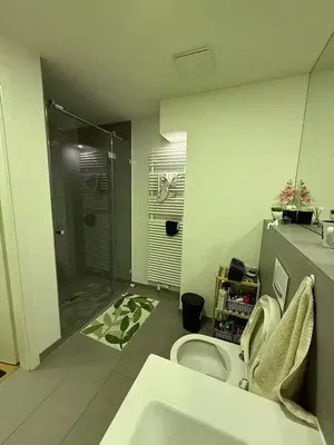 Kupaonica; pločice, prirodna svjetlost, renoviran