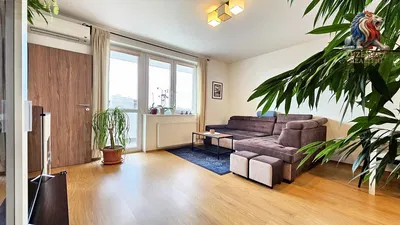 Dnevni boravak; prirodna svjetlost, drveni pod, moderan stil