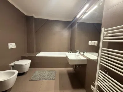 Kupaonica; pločice, renoviran, prirodna svjetlost, moderan stil