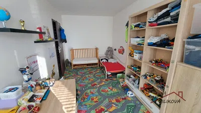 Ostatní