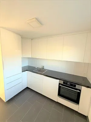 Küche; küchengeräte, fliesenboden, renoviert, tageslicht, moderner stil