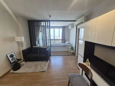 Wohnzimmer; blick, tageslicht, moderner stil