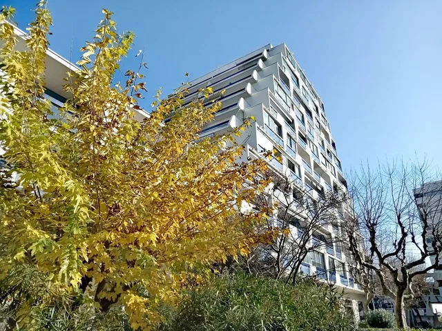 Σαλόνι