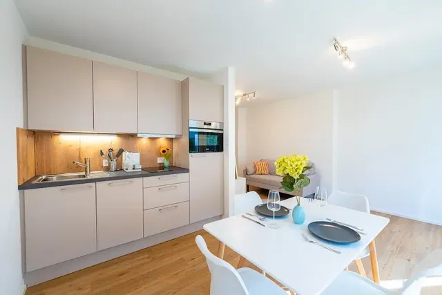 Kuhinja; kućanski aparati, prirodna svjetlost, moderan stil, drveni pod