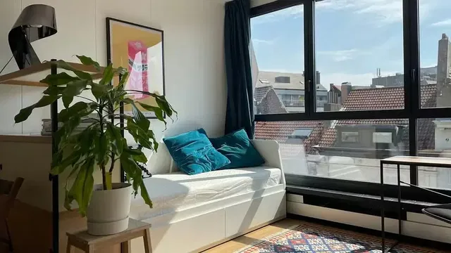 Salon; vue, lumière naturelle