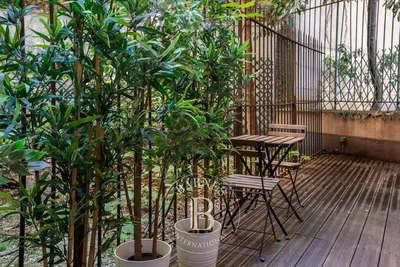 Teras; doğal ışık