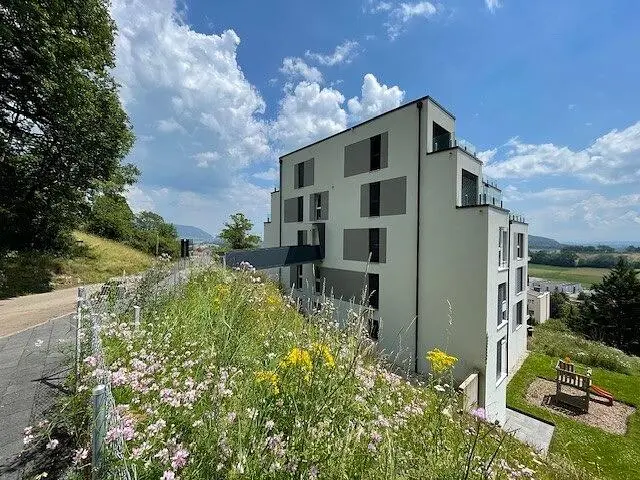 Casa e arredores; vista