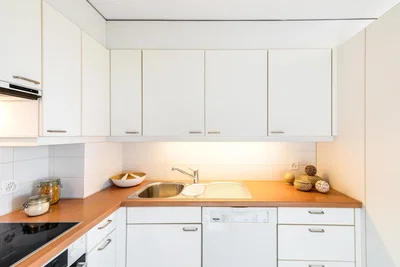 Cucina; elettrodomestici, pavimento in piastrelle, ristrutturato, luce naturale, stile moderno