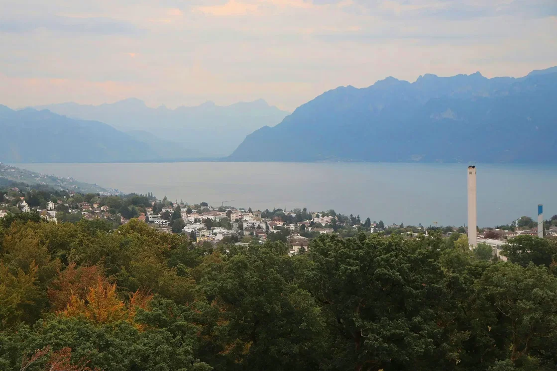 Sonstiges; blick