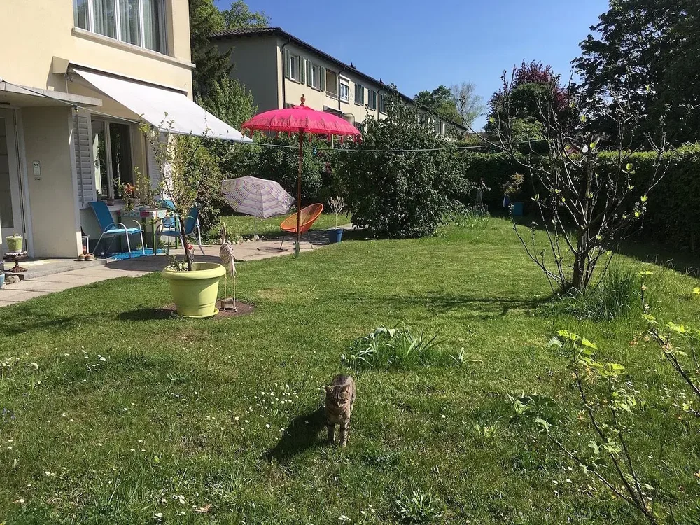 Haus und umgebung; tageslicht, blick