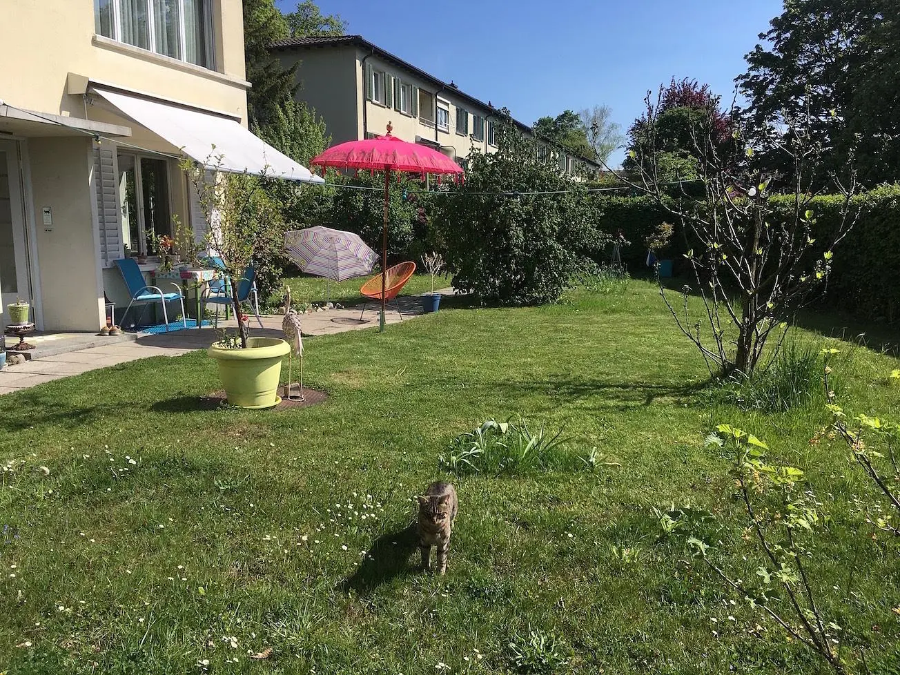 Haus und umgebung; tageslicht, blick