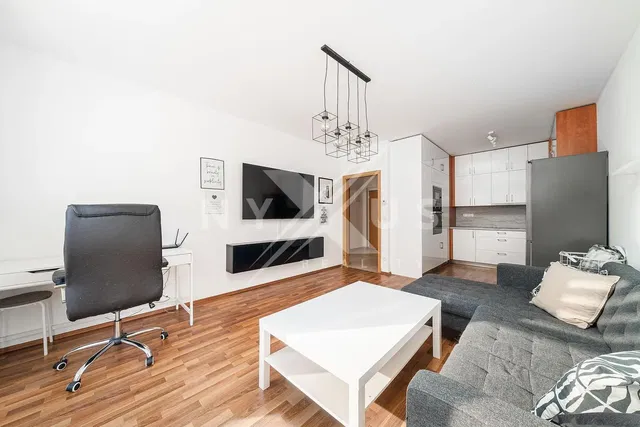 Obývací pokoj; dřevěná podlaha, přirozené světlo, moderní styl